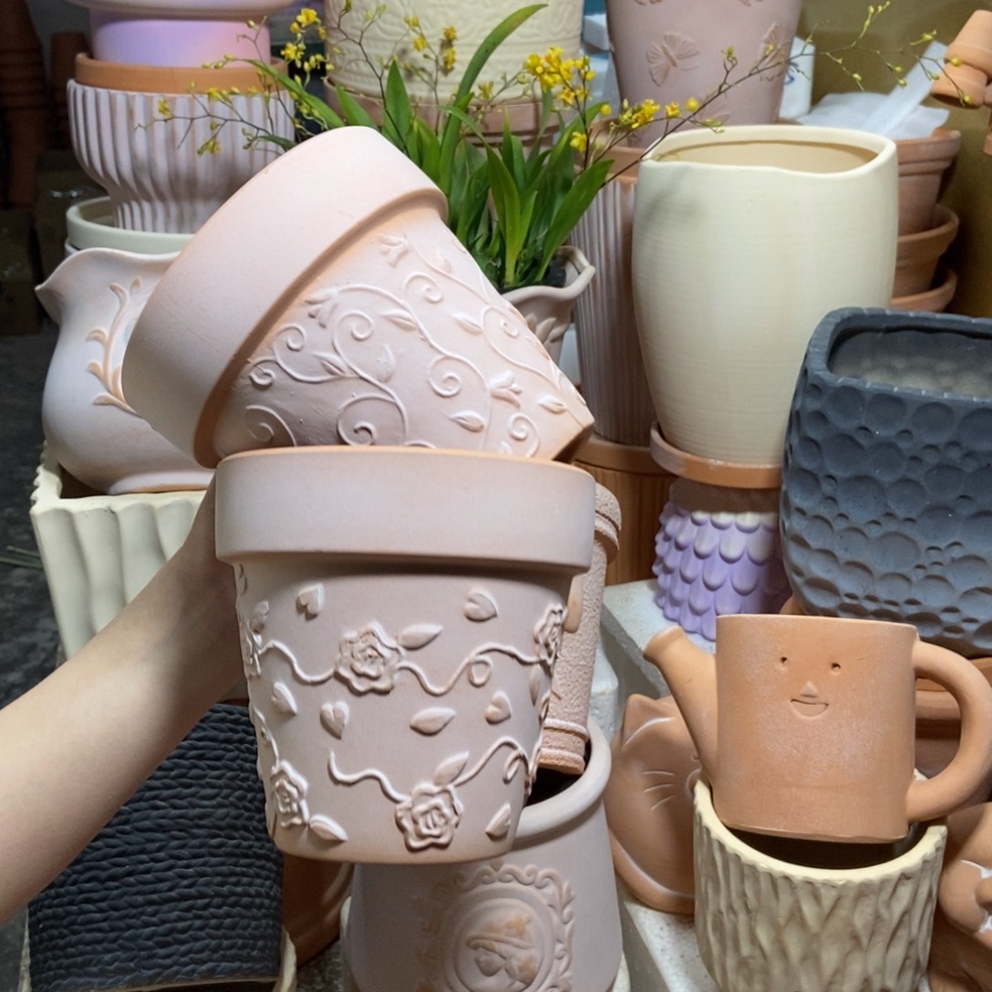 14×13雾化国际玫瑰+钩藤2个