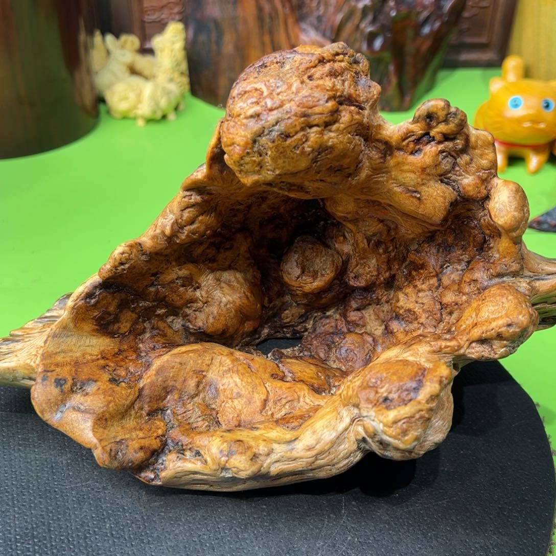 秋***⋯大果紫檀（缅甸花梨）