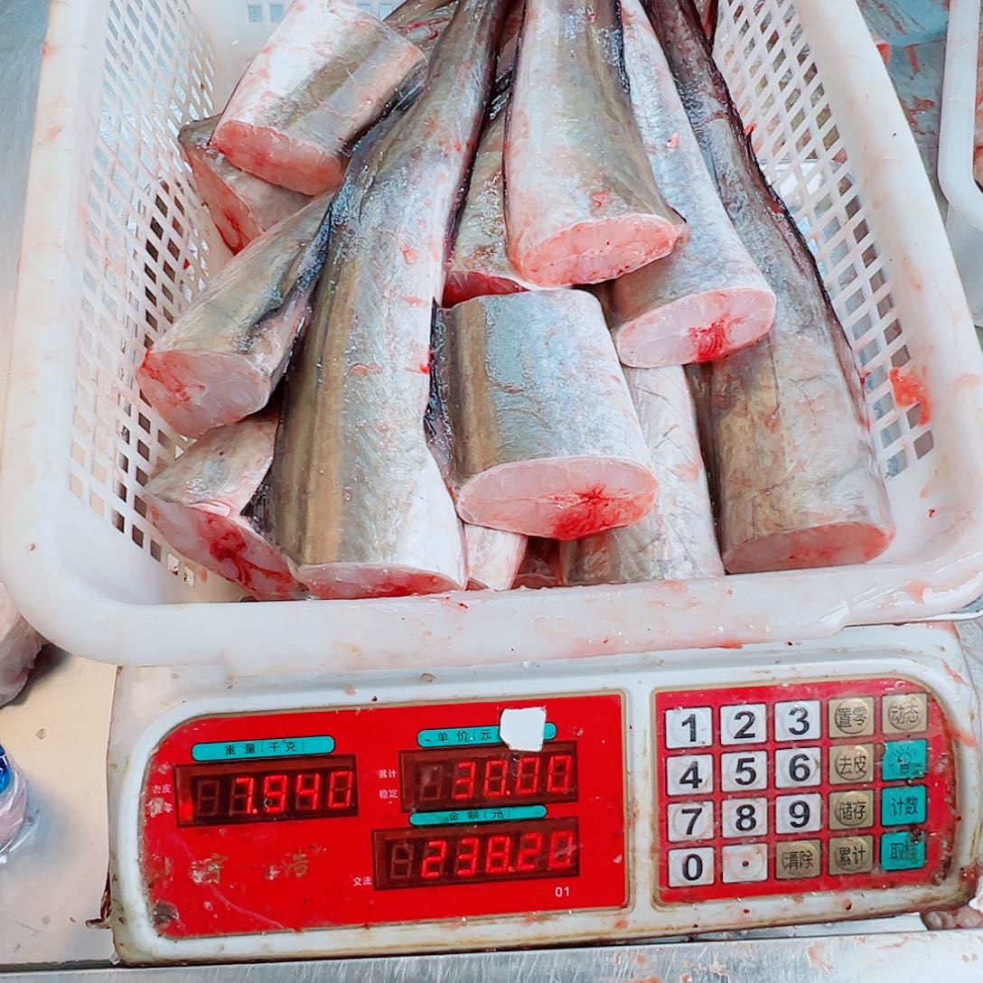 中国大陆鳗鱼鱼尾