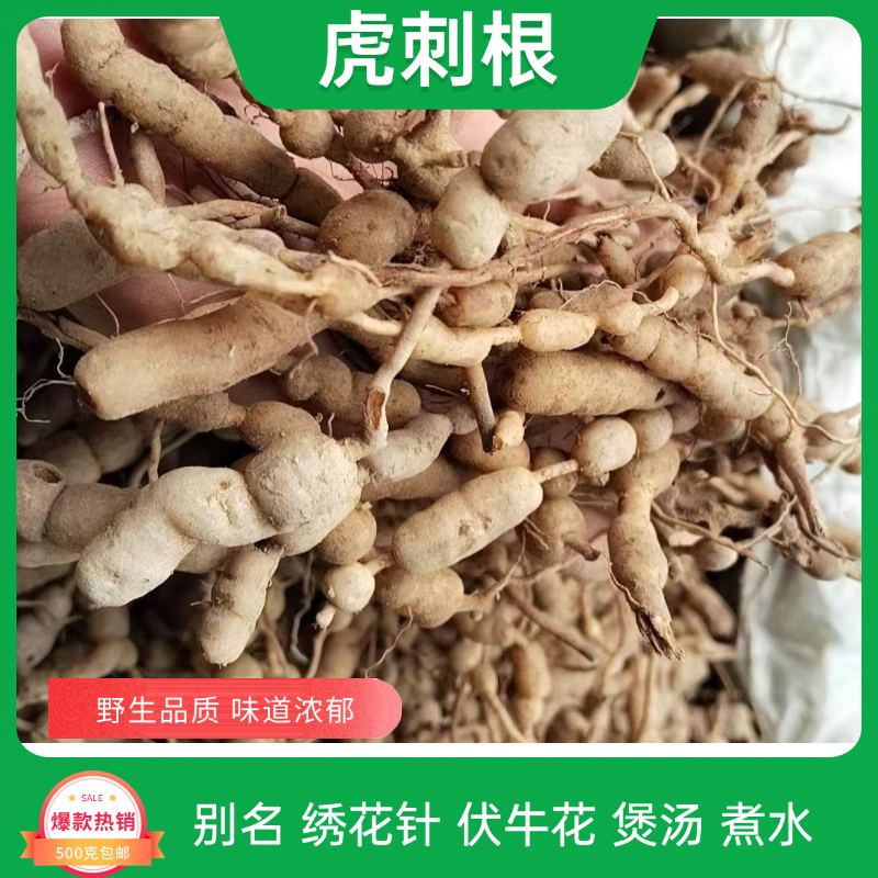 精选正品正宗新货虎刺根干品中药材绣花针根老虎刺优质干净