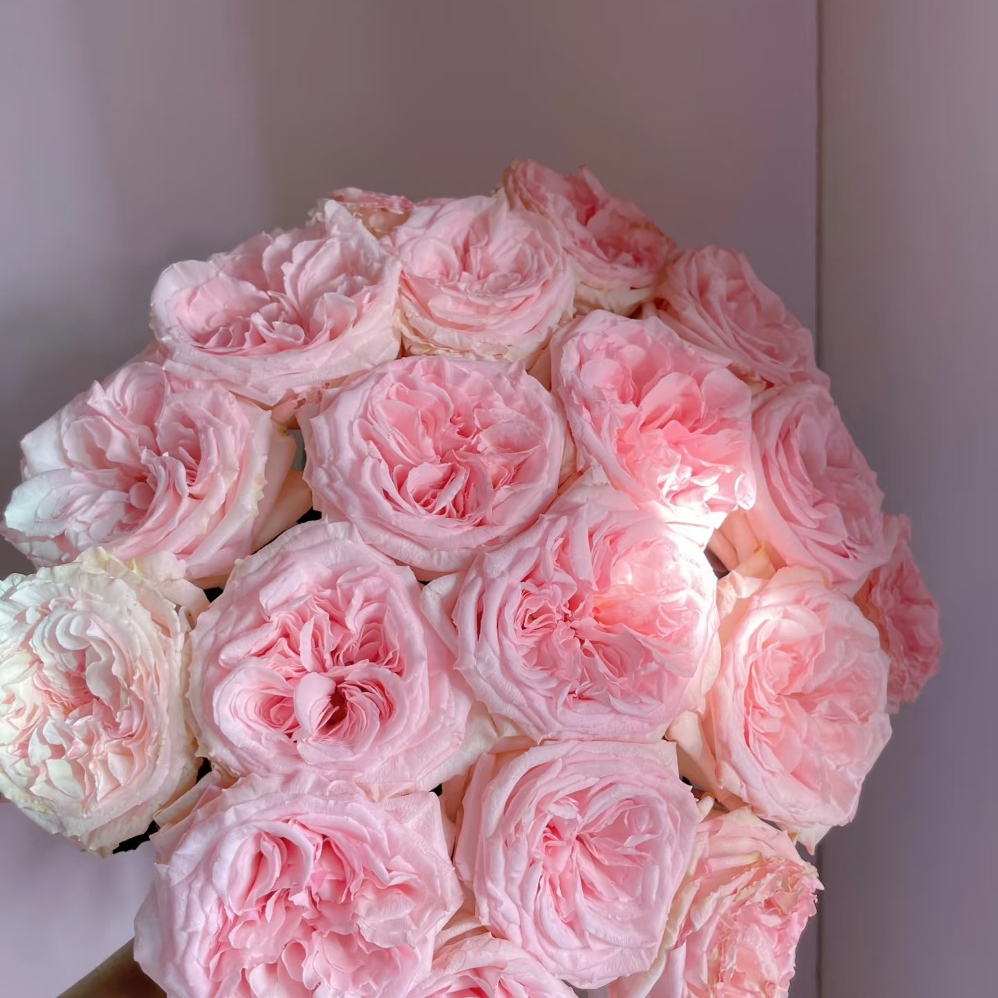 荔枝玫瑰买十支送十支