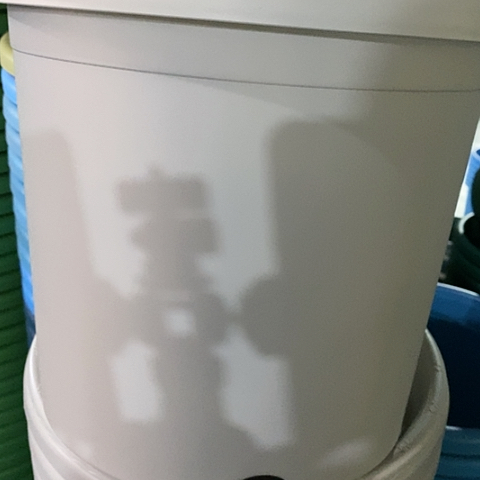 树脂微瑕5#无托灰白6个