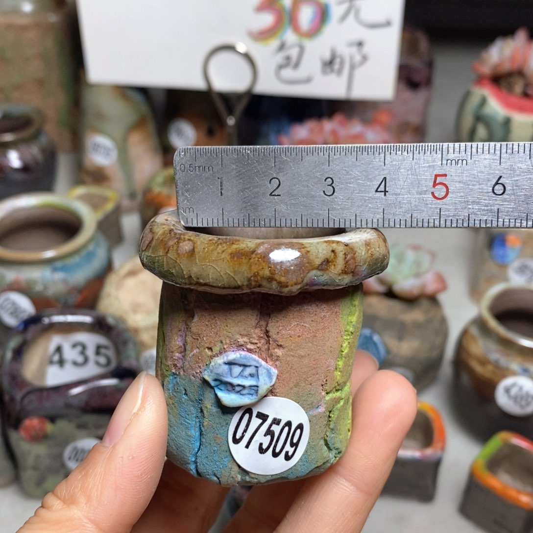 花盆拍3送一个小礼物