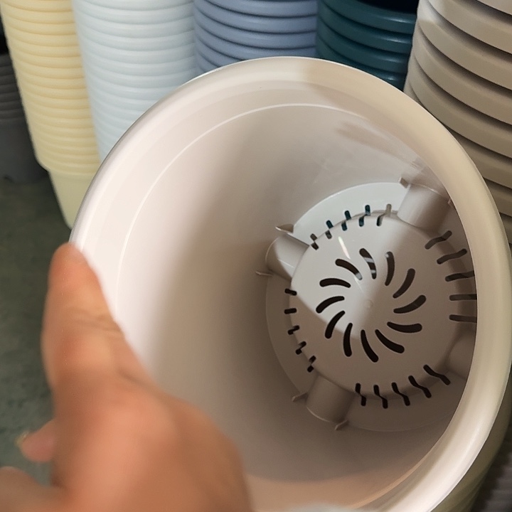 四季5号灰白无托10个特价