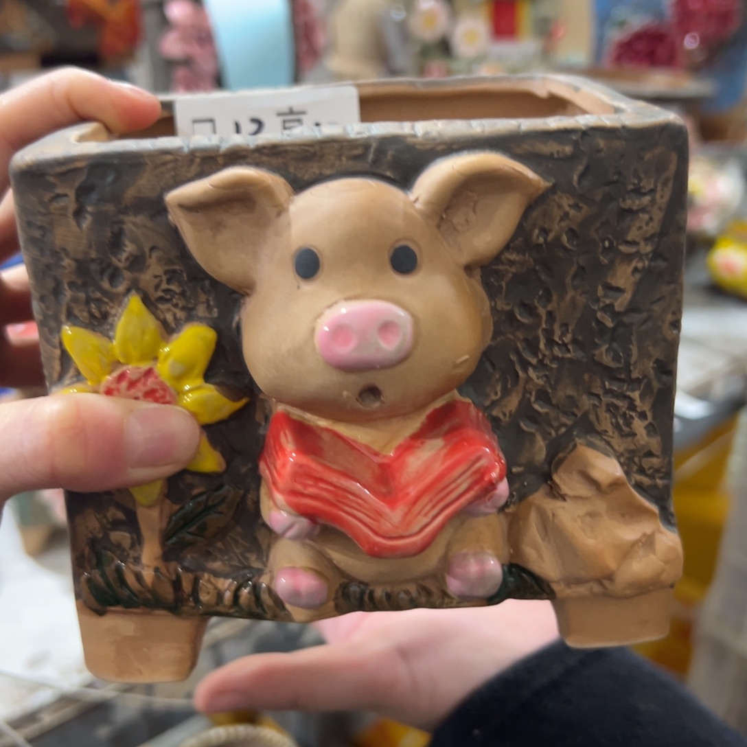 满18.8米包邮多肉花盆