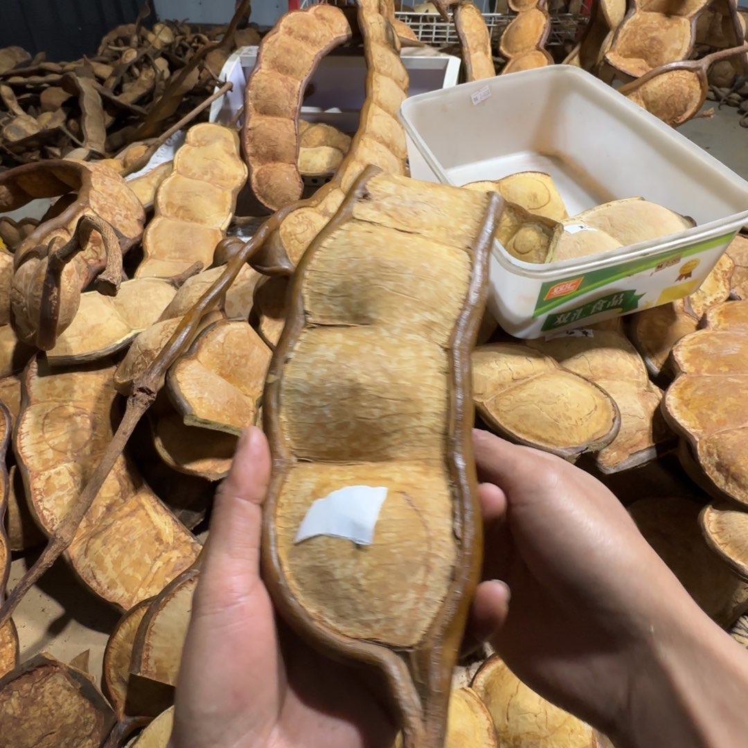 一***蛋榼藤豆荚手工制作摆件家居客厅装饰品