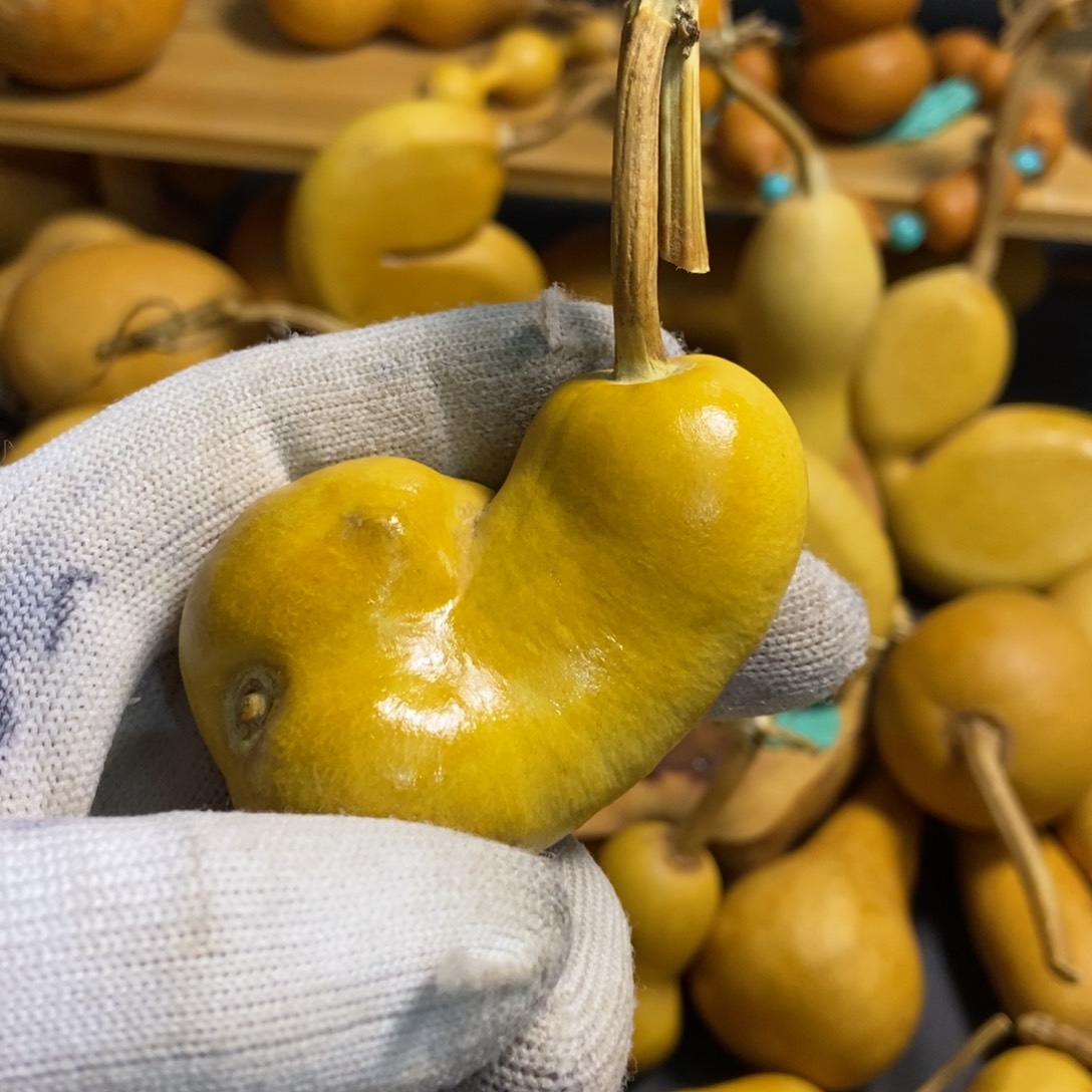 比*葫芦葫芦真的