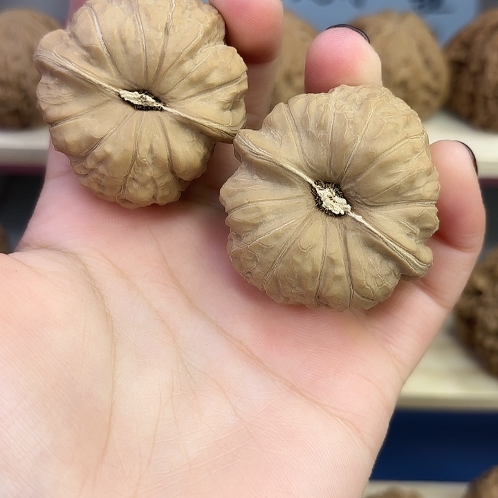 南瓜墩42尺 全品无修