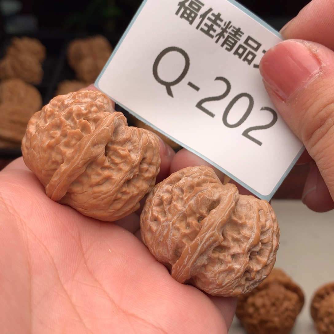 文玩核桃把件35金锭元宝……….