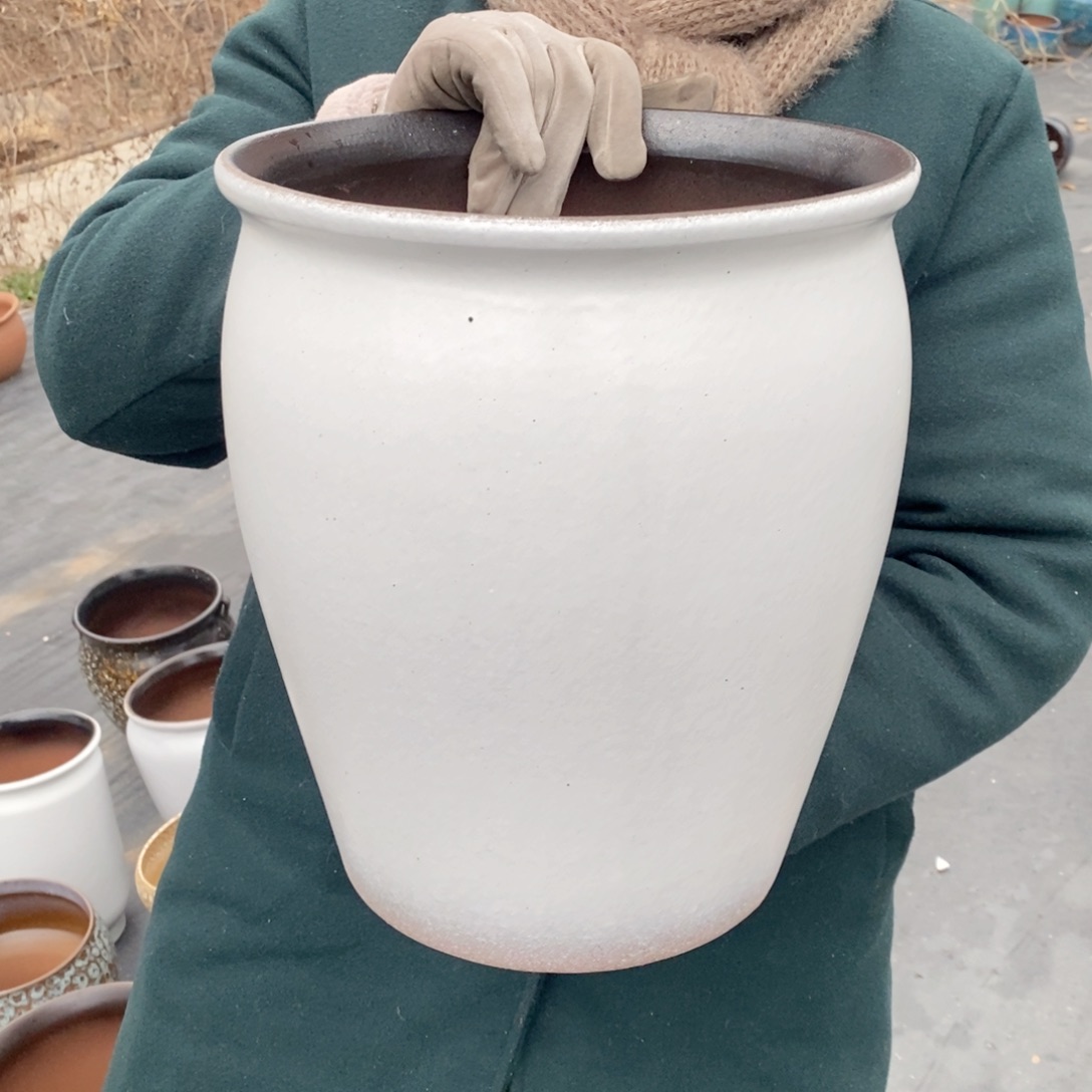 红陶口25高31～～～