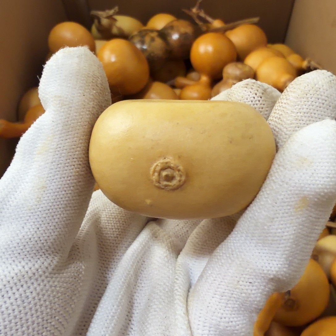 p***o请确认好在下单 14