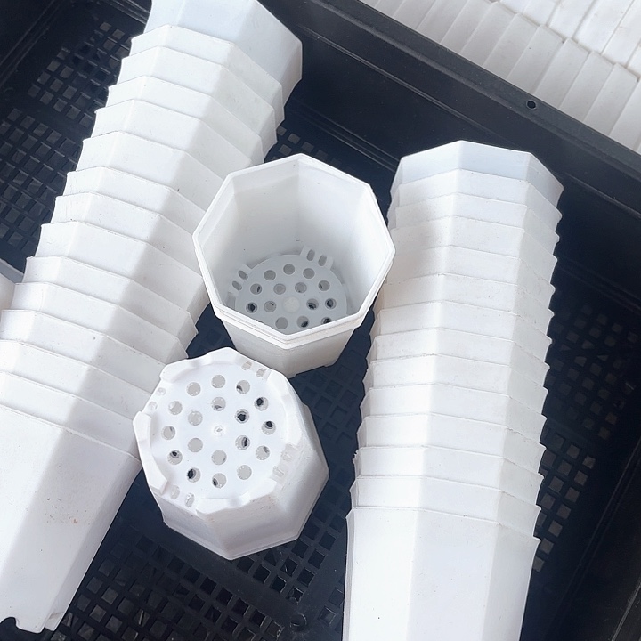 7厘米八角盆60个