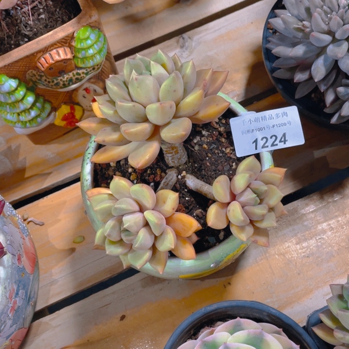 汾**少谢谢你的支持000000001224