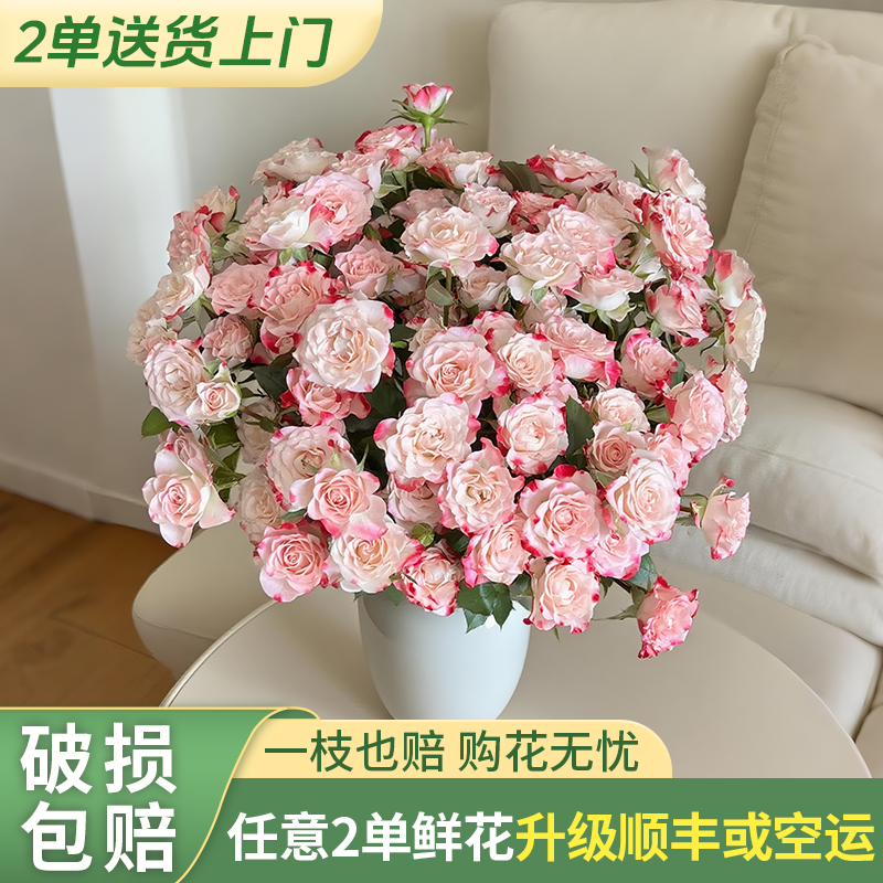【云上花卉】折射+洛神+小红莓 玫瑰 任意两单花材升级顺丰京东德邦