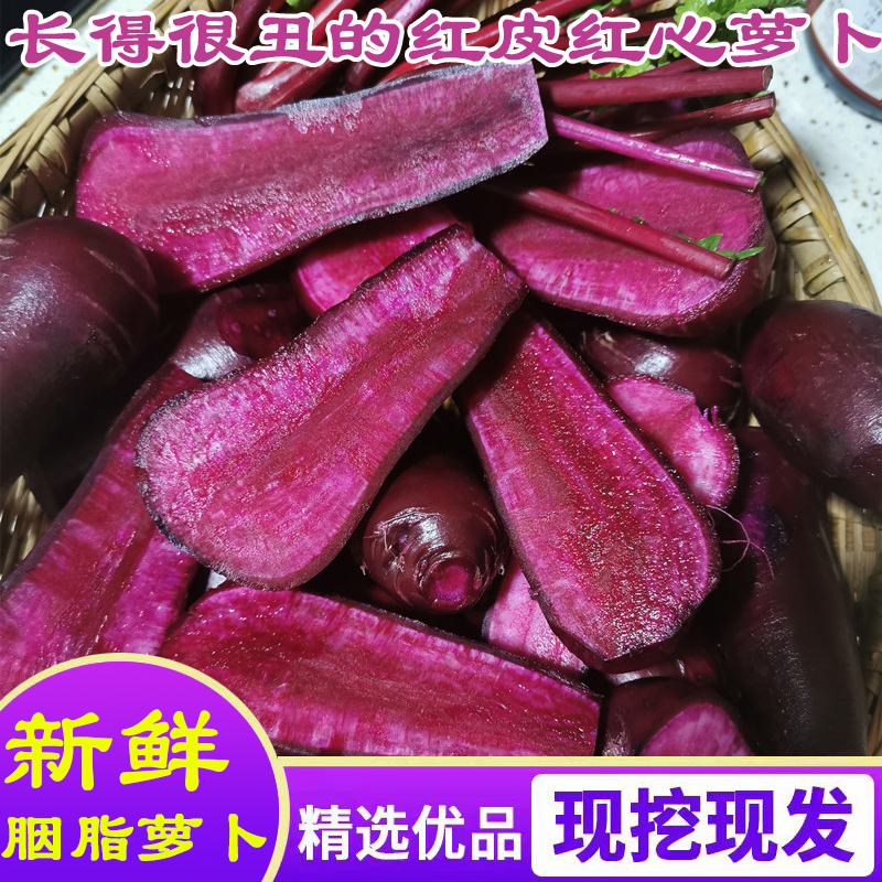 四川新鲜红心红萝卜现拔现发甜脆红皮胭脂萝卜带泥发货