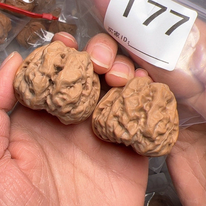 核桃41边43肚177号