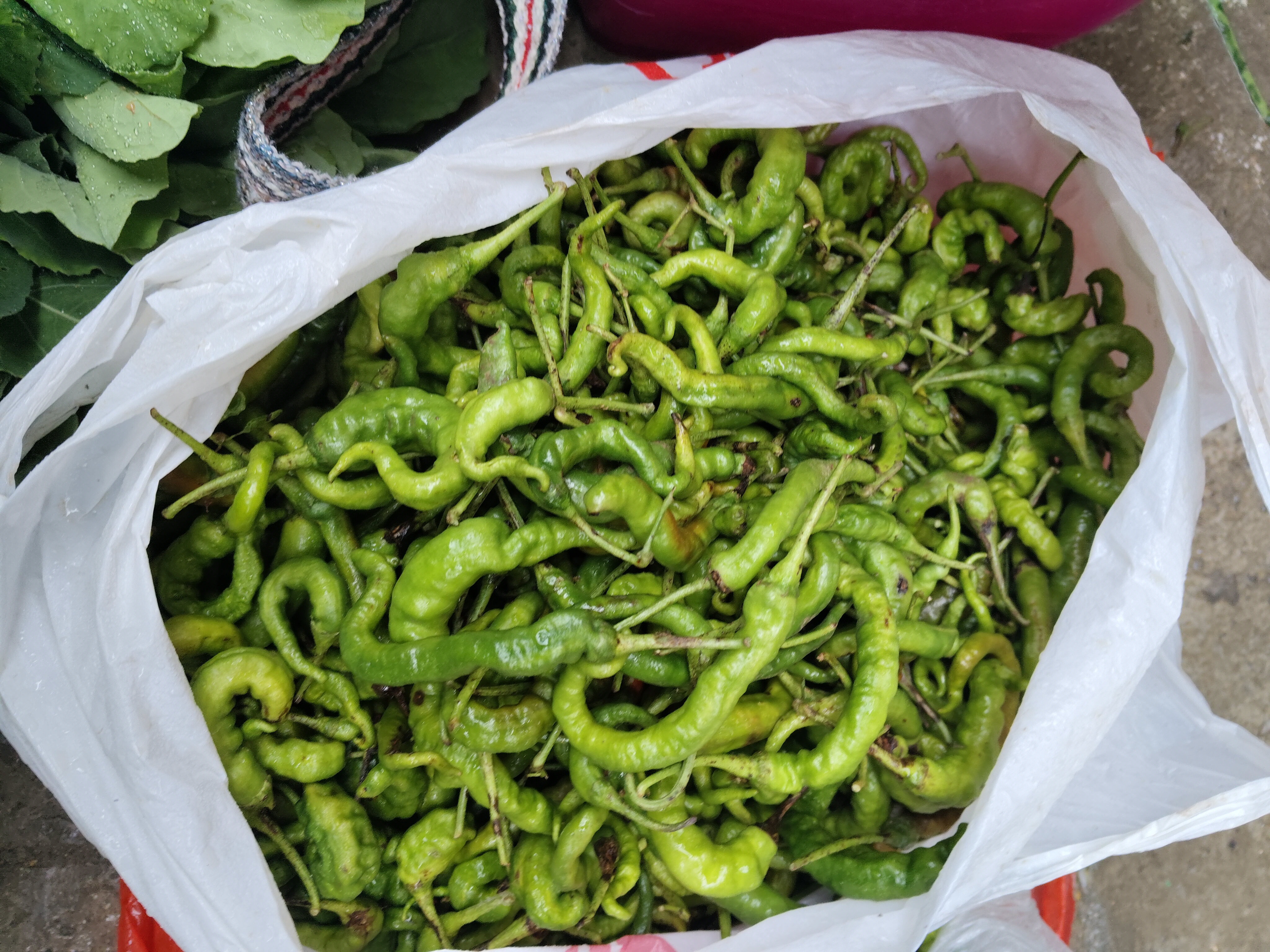 湖南特产螺丝椒现摘新鲜薄皮中辣农家自种螺纹青椒风味独特