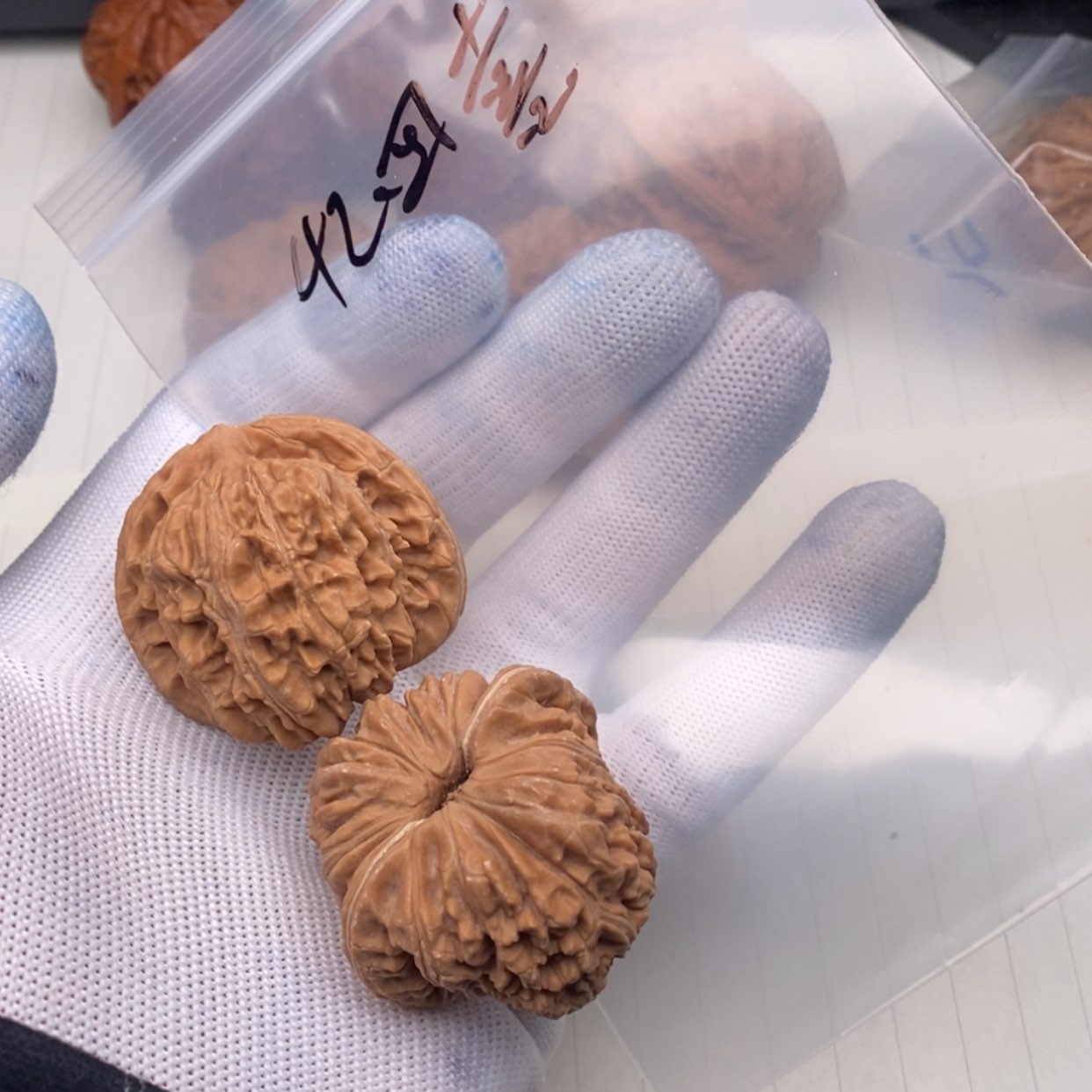 【闪购商品】文玩核桃吊坠楼里