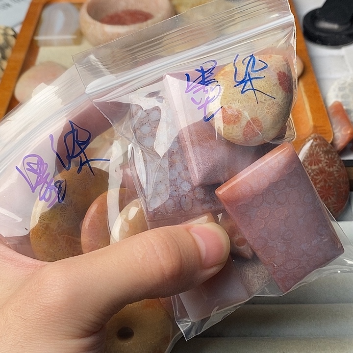 硅化珊瑚未镶嵌颈饰