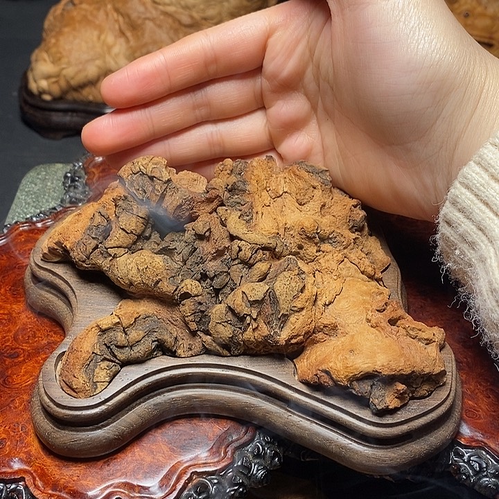 荔枝木荔枝木荔枝木