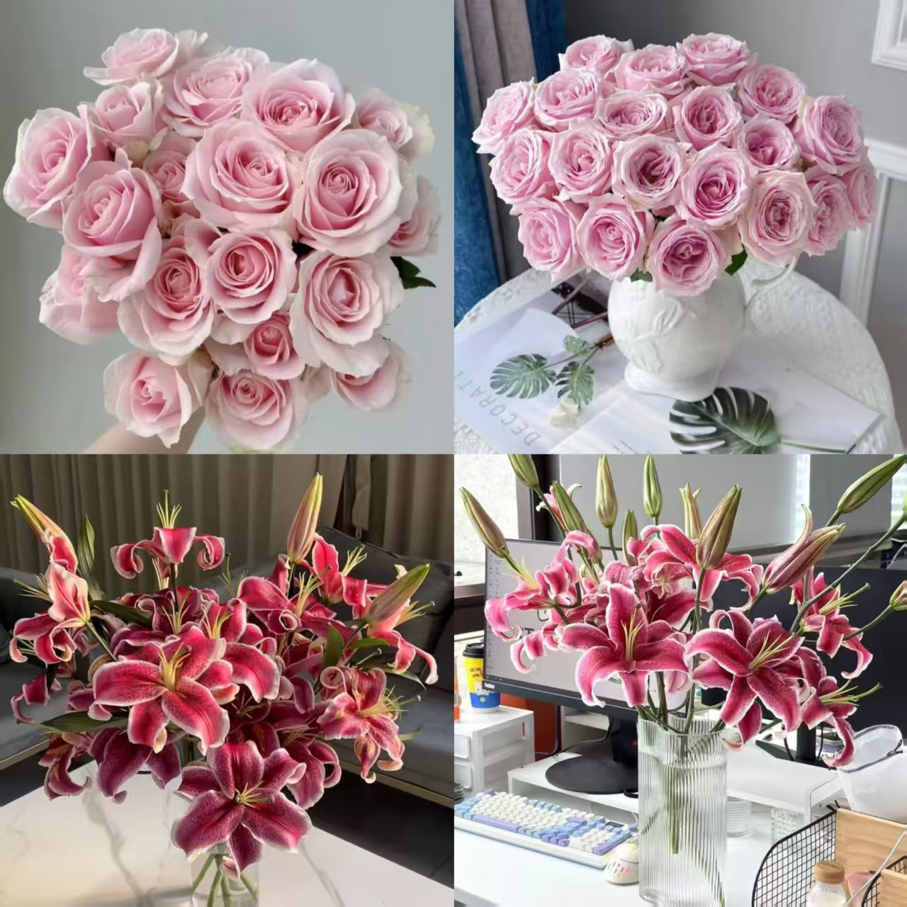 【粉雪山+黑美人香水百合】 同地址任意拍2单冷链送货上门 