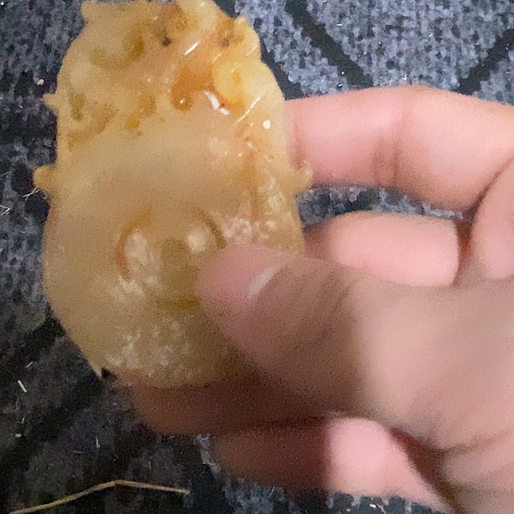 玉玉章1111111111111