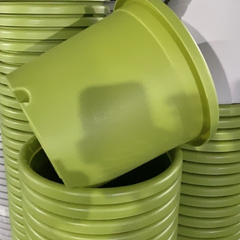 树脂微瑕5#带托果绿6套