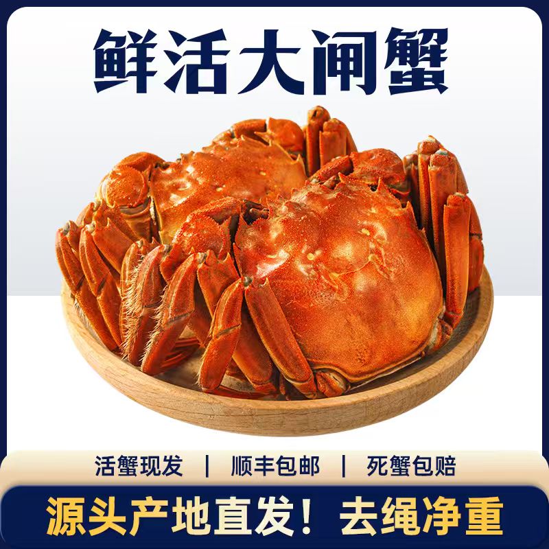 活蟹现发金标全母洪泽湖大闸蟹（3.1-2.8两）6＋2只顺丰包邮礼盒