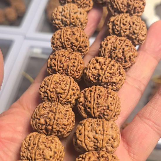 老***叱金刚菩提把件六瓣大金刚手持，24左右尺寸，原皮原色