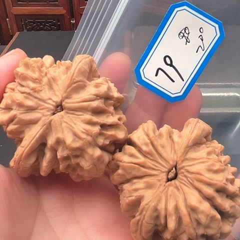 文玩核桃吊坠张*：龙鼎