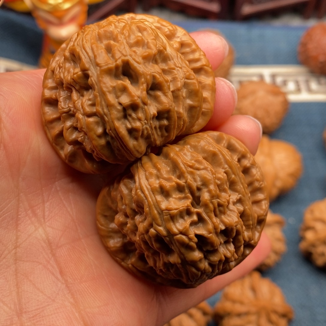 文玩核桃把件43大球白