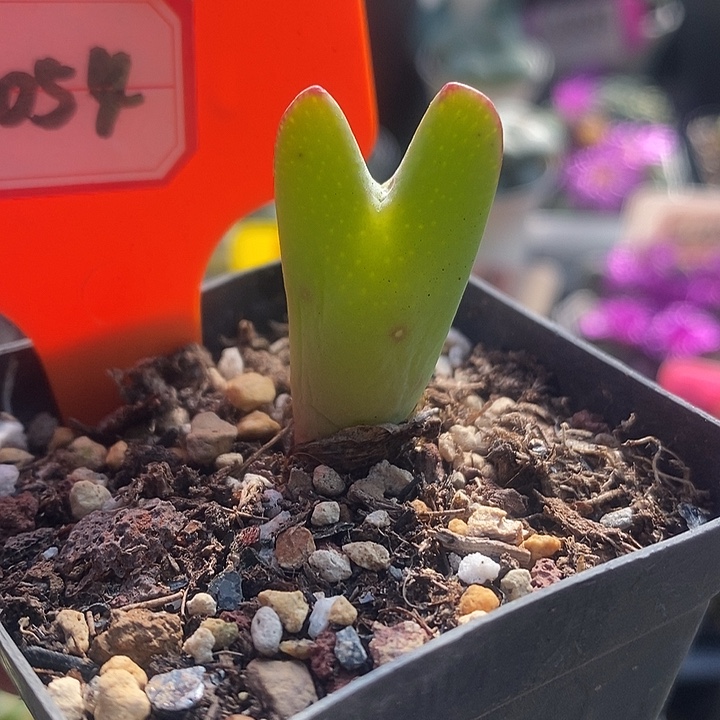 这个时候才会明白7054