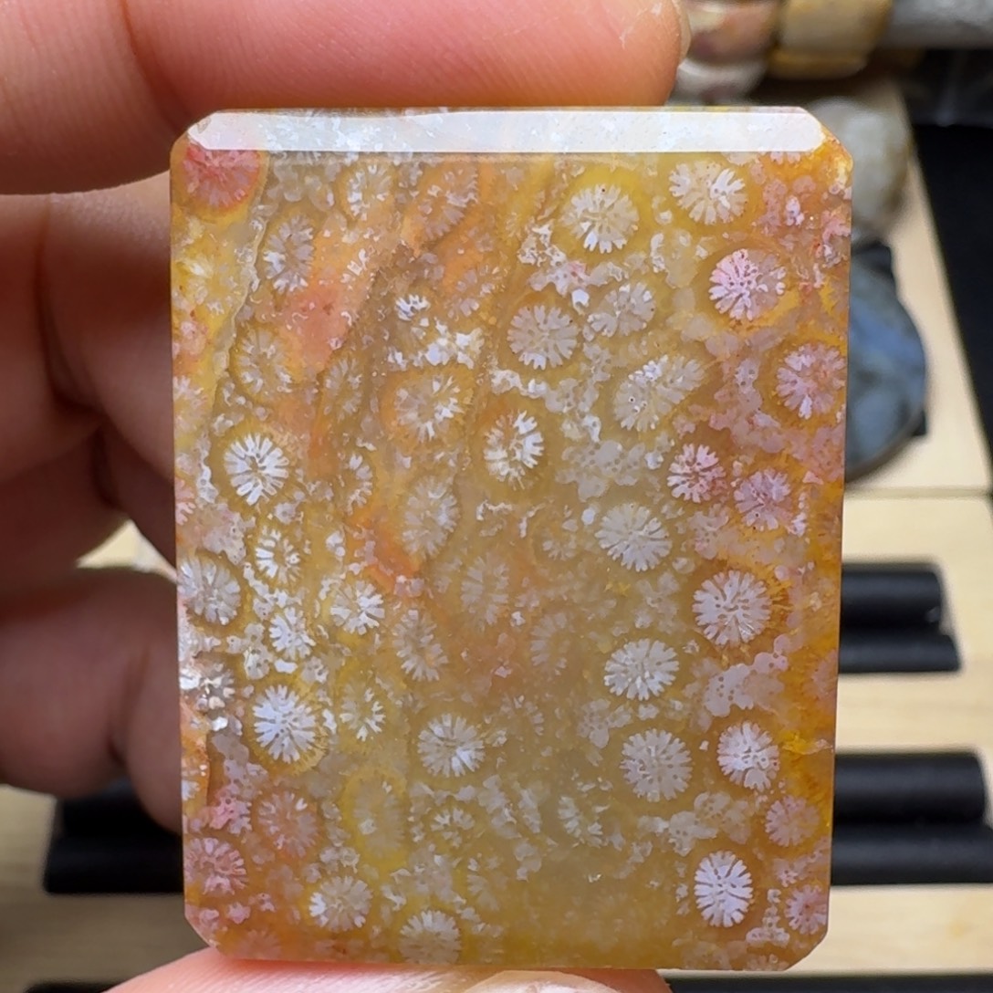 硅化玉未镶嵌纯天然色有机玉石保真色