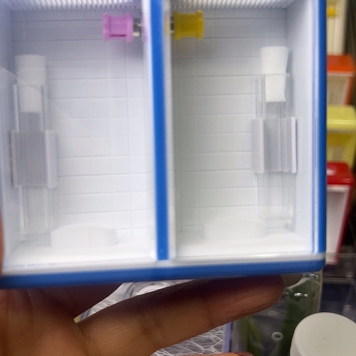 无虫哈哈哈哈哈哈哈哈