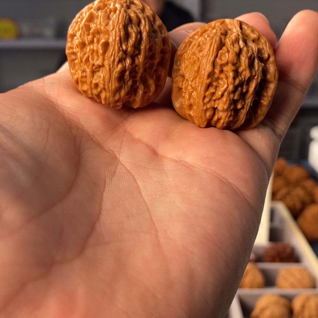 文玩核桃把件微修白狮子33