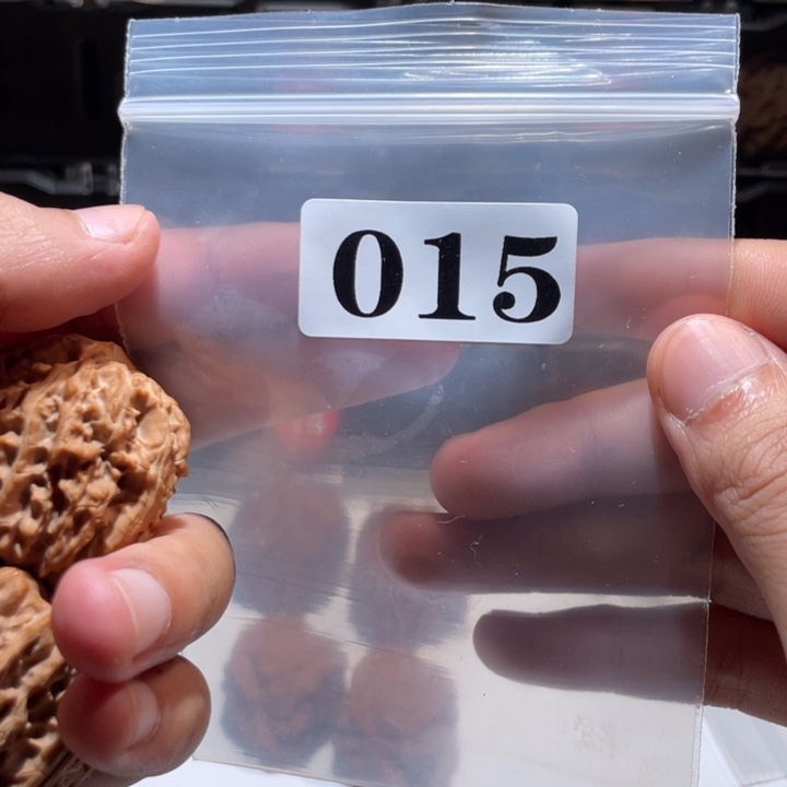 某***妙文玩核桃吊坠015送野生