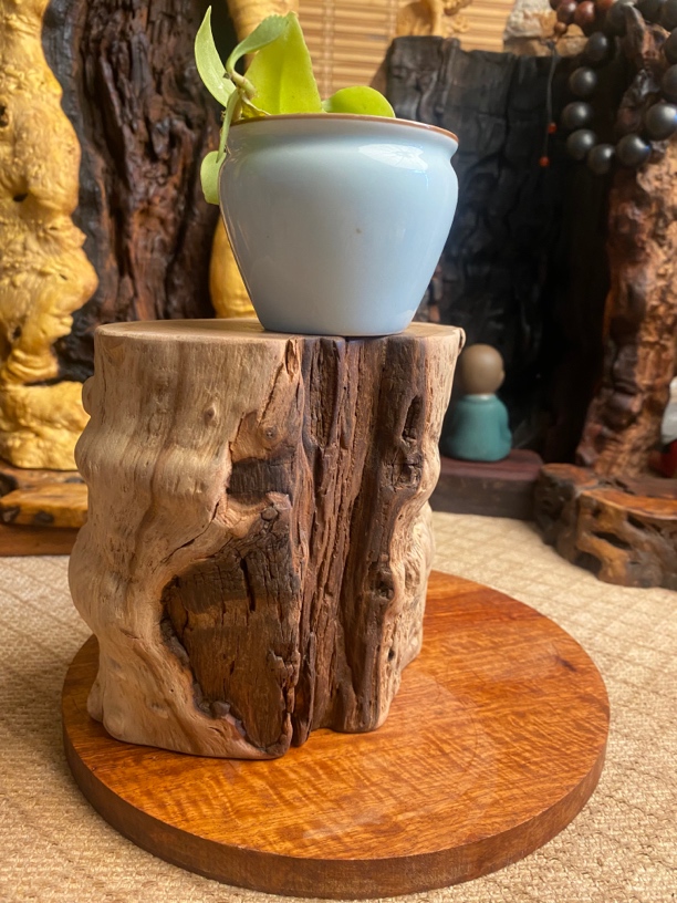 雷击百年老枣木 木料