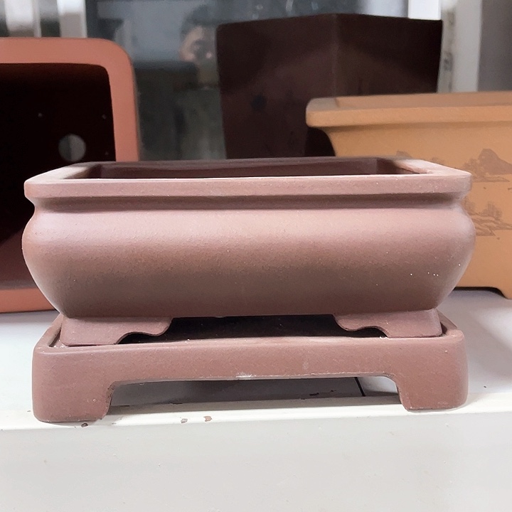 紫砂花盆这个世界上最好的