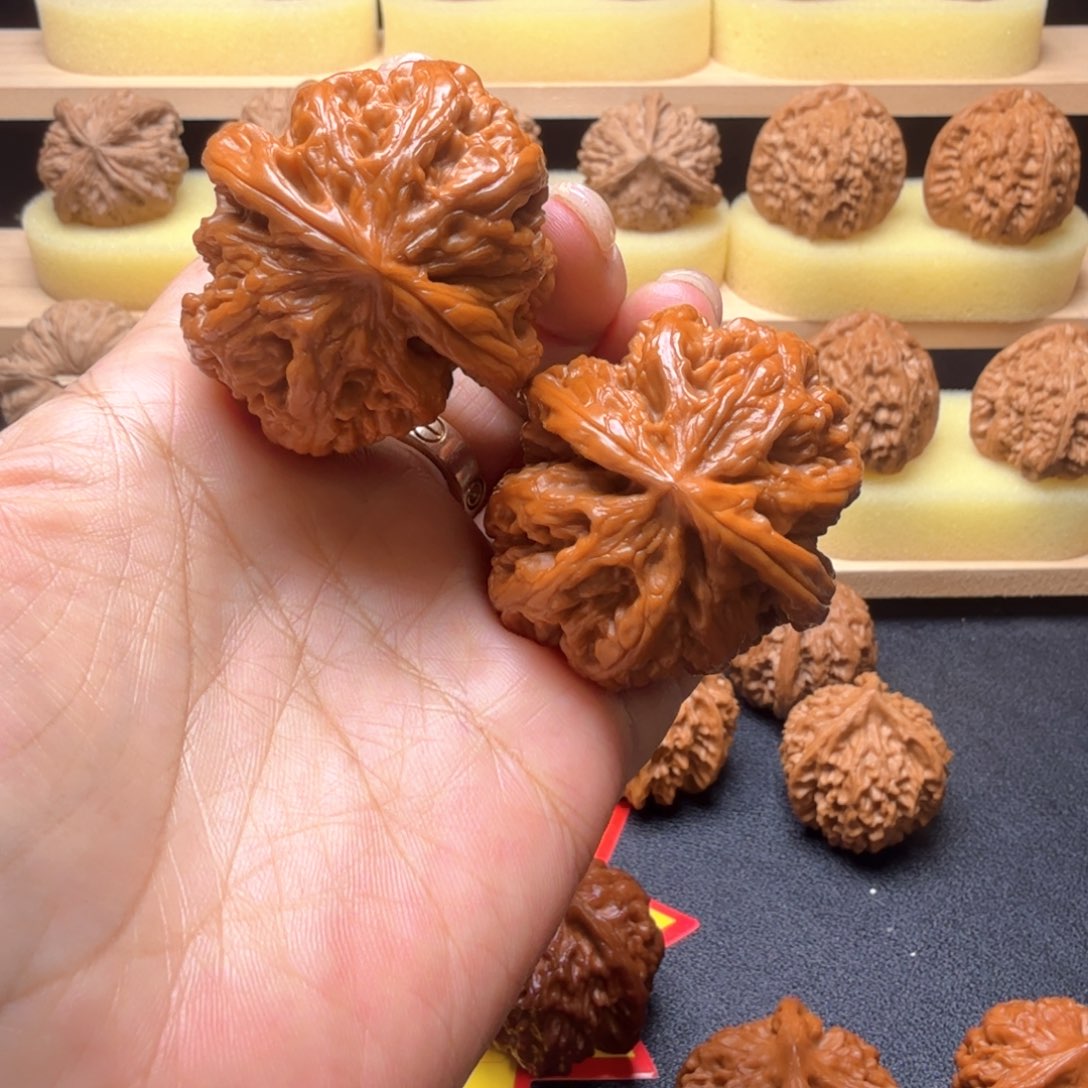 核桃自盘粗筋42尺