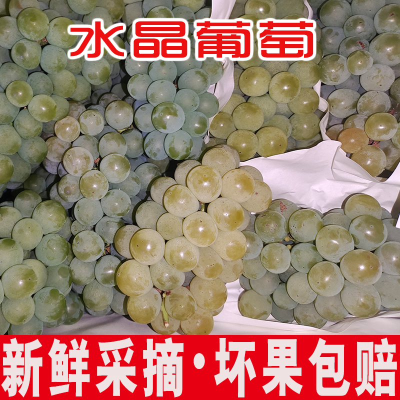 湖南水晶葡萄新鲜绿葡萄青葡萄云南当季湖南香葡萄孕妇水果