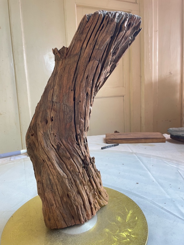 沉木造景 鱼缸造景沉木 紫柚木 主干树桩