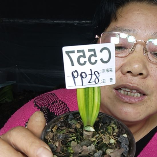 邹***杰完全开放0000000000