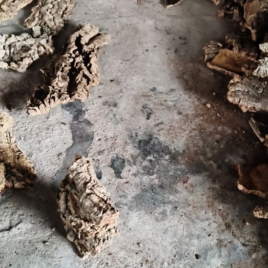 蔷****完全开放顺顺利利，平平安安