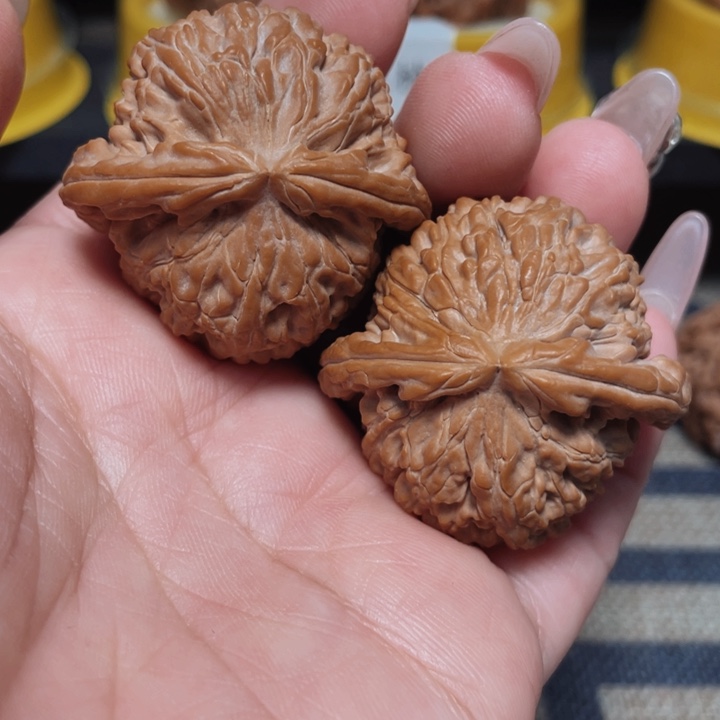 文玩核桃把件白狮子40