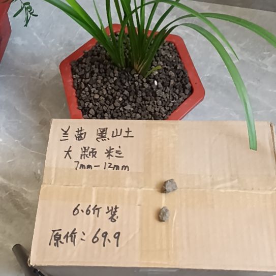吴***家兰菌黑山土大颗粒6.6斤