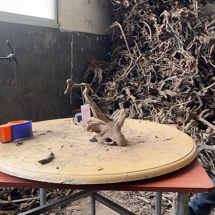 大***锅木鱼缸造景根雕。9