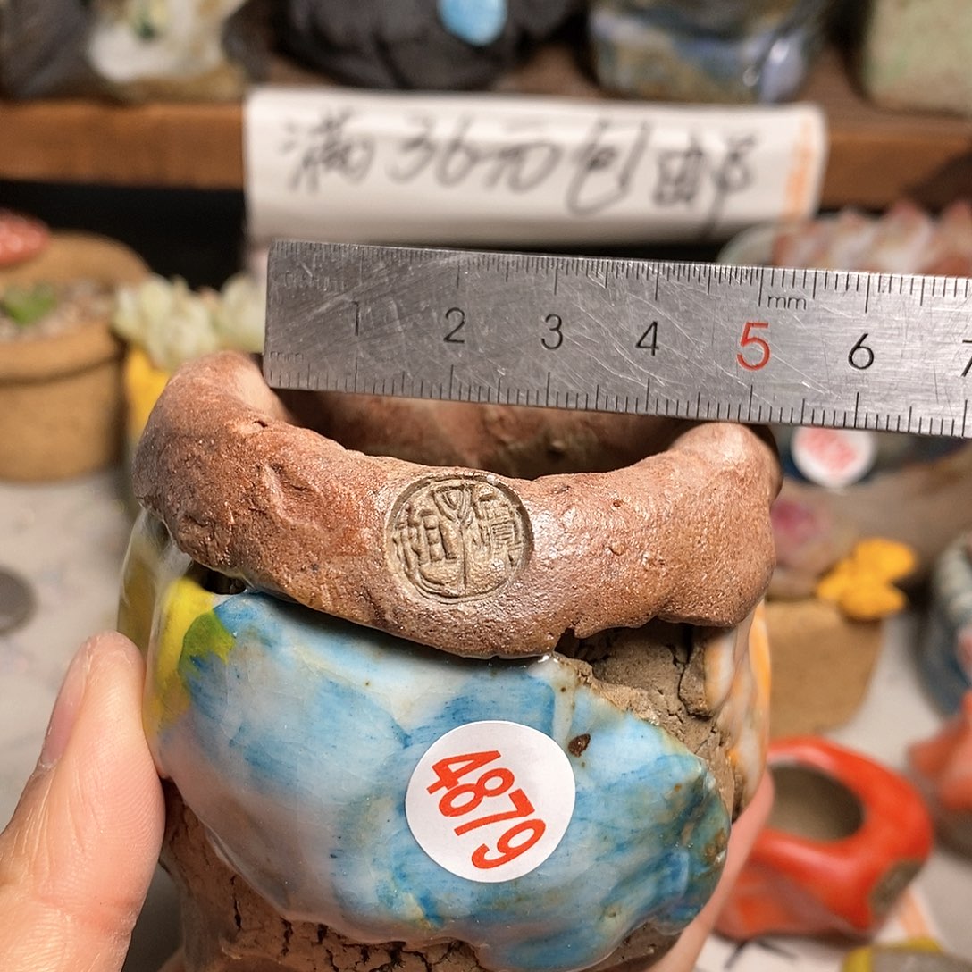 红陶拍5送一个小