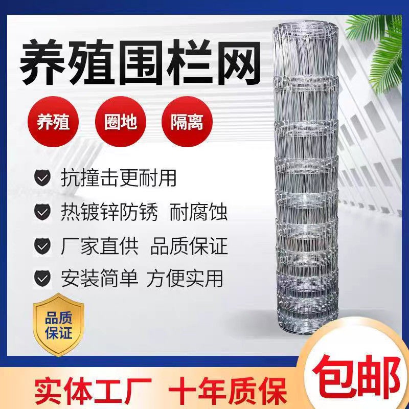 加粗热镀锌防锈铁丝网用于鸡兔鸟鸽笼及圈地养殖围栏