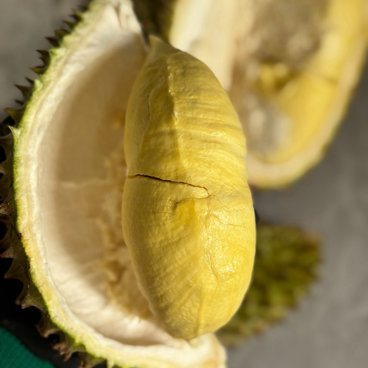 【尝鲜装】泰国树熟金枕鲜榴莲98元300g（核小）金枕泰国