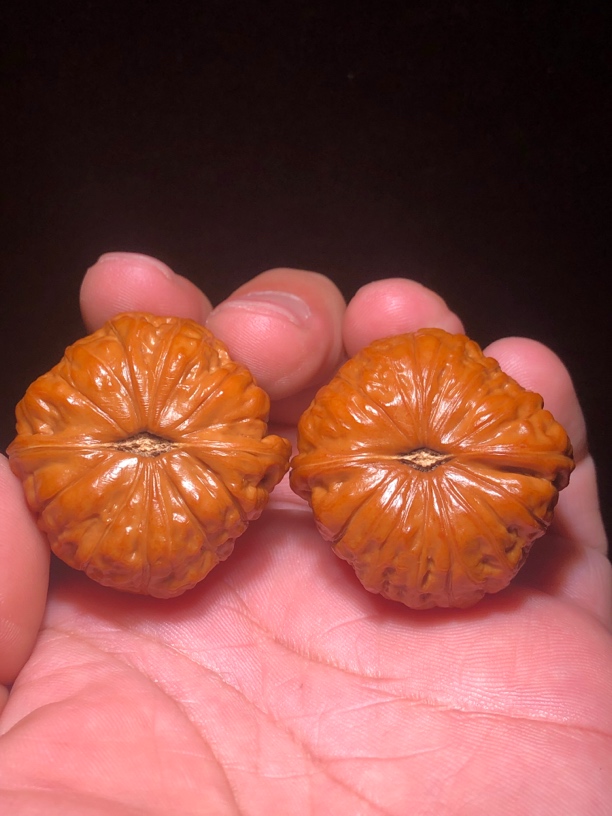 39.5精品南瓜文玩核桃